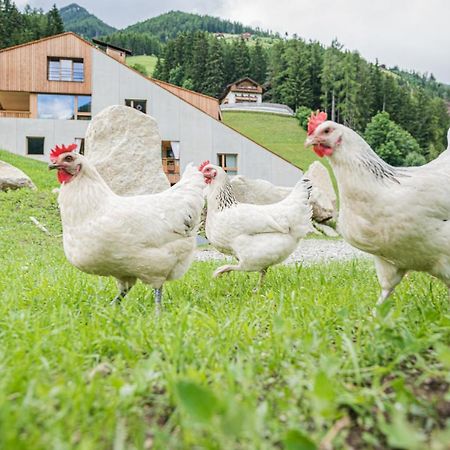 Koasa-Hof Ganzes Ferienhaus Und Sauna 5 Zimmer 240Mq Cadipietra Dış mekan fotoğraf