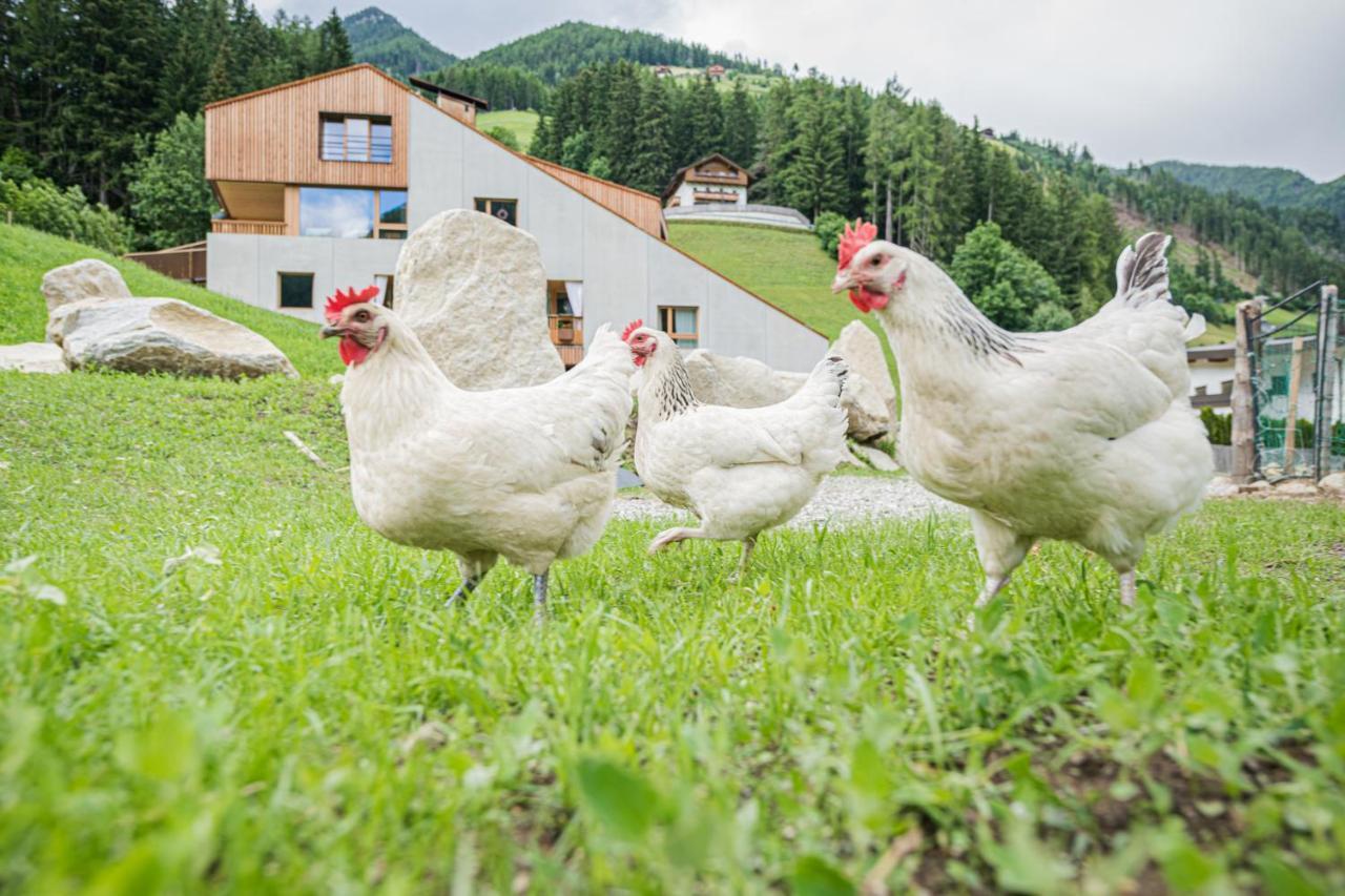 Koasa-Hof Ganzes Ferienhaus Und Sauna 5 Zimmer 240Mq Cadipietra Dış mekan fotoğraf